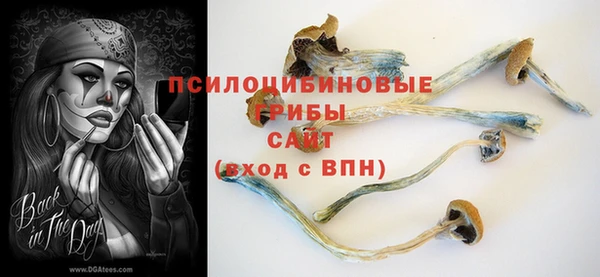 первитин Богданович