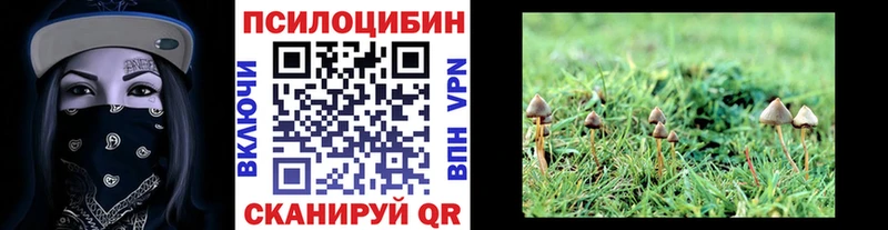 Псилоцибиновые грибы мицелий Морозовск